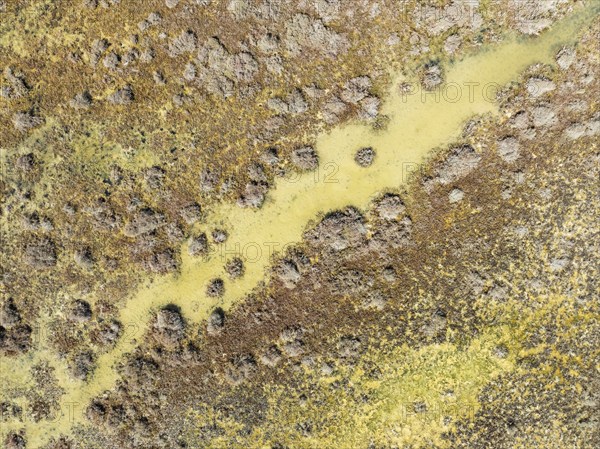 Detail of marshland near Sanlúcar de Barrameda. Aerial view. Drone shot. Cádiz province, Andalusia, Spain, Europe