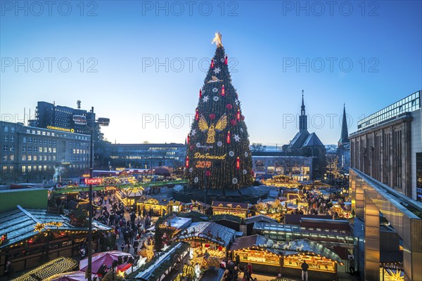 The largest Christmas tree at the Dortmund Christmas market at dusk, Dortmund, North Rhine-Westphalia, Germany, Europe