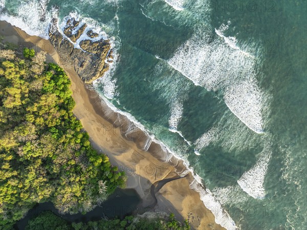 Aerial view, top-down, rainforest, sandy beach and coast with waves, Playa Cocalito, Puntarenas, Costa Rica, Central America