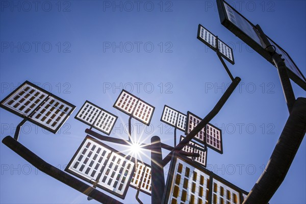 Solar cells, solar tree, Ulm's Solar City residential neighbourhood, Ulm, Baden-Wuerttemberg, Germany, Europe