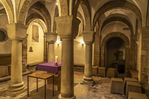 Crypt of St Martin's Basilica in Bingen am Rhein, Rhineland-Palatinate, World Heritage Upper Middle Rhine Valley, Germany, Europe