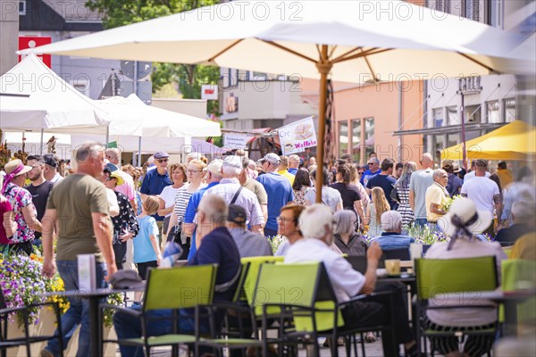 A lively market square in summer with many people sitting or walking under parasols, garden fair and ceramics, Nagold, Black Forest, Germany, Europe