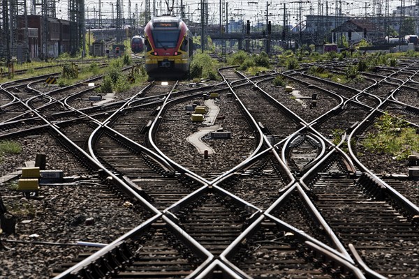 Track apron with rails, infrastructure and a local train at the main railway station, Frankfurt am Main, Hesse, Germany, Europe