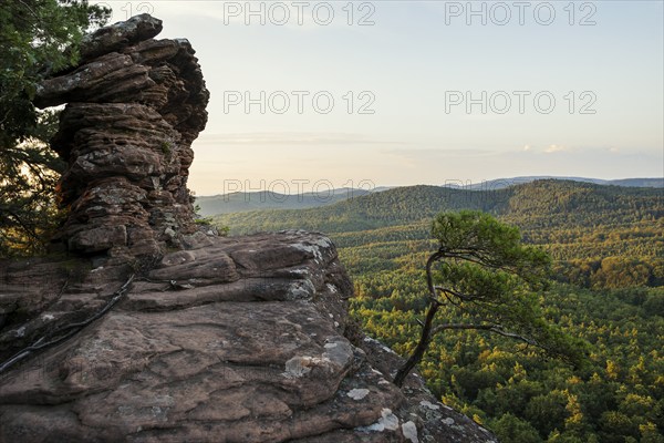Sandstone rocks, Rötzenfelsen, sunrise, Gossersweiler-Stein, Palatinate Forest, Palatinate Forest, Rhineland-Palatinate, Germany, Europe