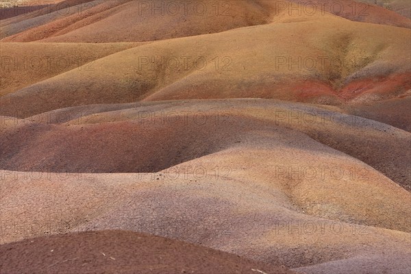 Detail of a landscape with colourful, bright red to orange ground illuminated by the sun, Seven Coloured Earths, Mauritius, Africa