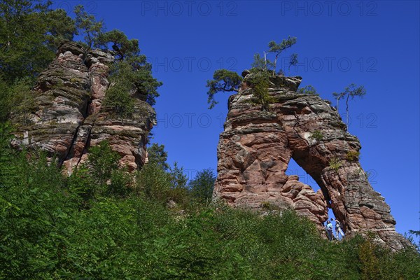 Hiker at the Schillerfelsen, red sandstone rocks on the Dahner Felsenpfad, Dahn, Südwestpfalz district, Rhineland-Palatinate, Germany, Europe