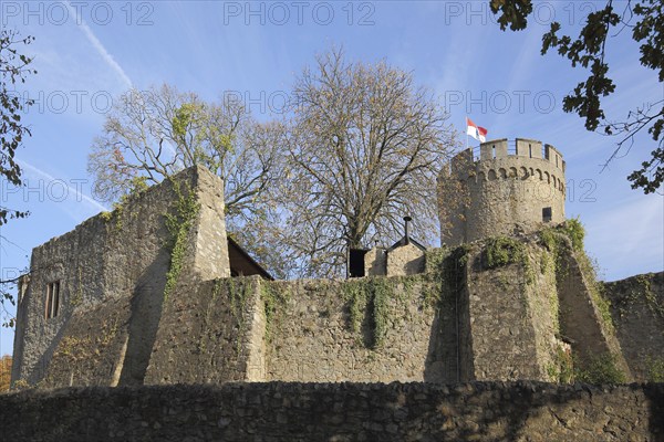 Auerbach Castle Ruin near Bensheim, Bergstrasse, Hesse, Germany, Europe