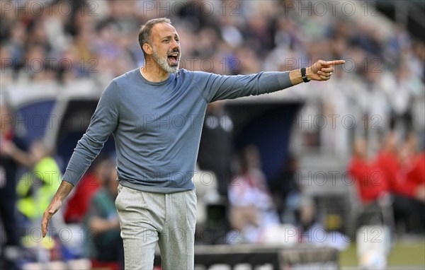 Coach Peregrino Matarazzo TSG 1899 Hoffenheim, gesture, gestures, PreZero Arena, Sinsheim, Baden-Württemberg, Germany, Europe