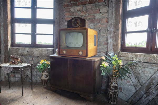 Old television, television set, TV set, rumpus room at Leitzkau Castle, Saxony-Anhalt, Germany, Europe