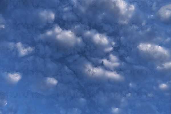 Stratocumulus clouds (Stratocumulus) Bavaria, Germany, Europe