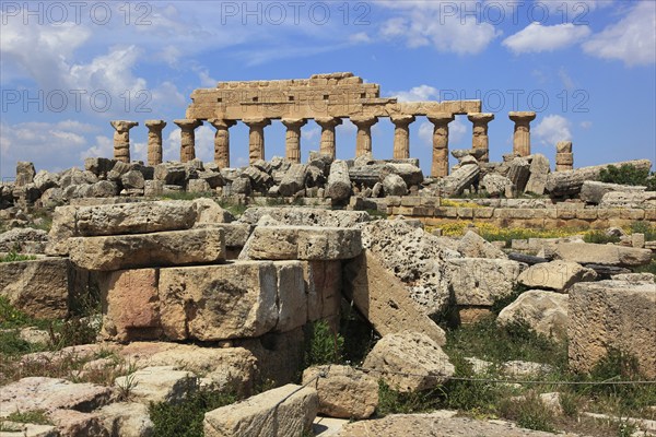 Selinunte, remains of the temples of the acropolis in the archaeological site of Selinunte, Trapani province, Sicily, Italy, Europe