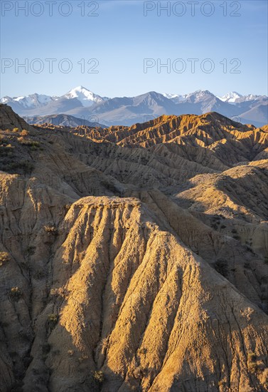 Landscape of eroded hills at sunrise, badlands, white mountain peaks of the Tian Shan Mountains in the background, Canyon of the Forgotten Rivers, Issyk Kul, Kyrgyzstan, Asia
