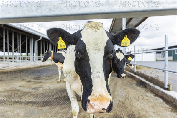 Federal Minister of Food and Agriculture, Cem Özdemir, visits Großdrebnitzer Agrarbetriebsges. mbH together with Saxony's Minister of Agriculture, Wolfram Günther