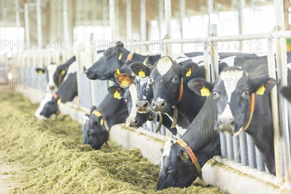Federal Minister of Food and Agriculture, Cem Özdemir, visits Großdrebnitzer Agrarbetriebsges. mbH together with Saxony's Minister of Agriculture, Wolfram Günther