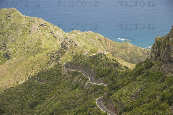 Mountain road, Tagana Valley, Barranco de la Iglesia, macizo de anaga (Montanas de Anaga), Las, Tenerife, Canary Islands, Spain, Europe