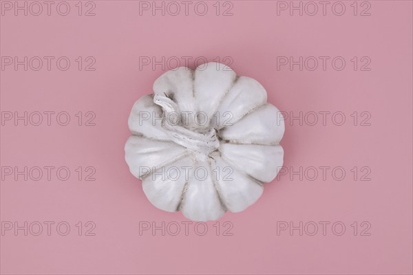 Top view of white decorational pumpkin on pink background