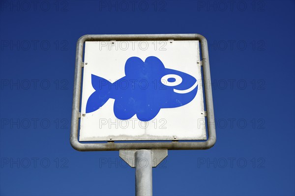 Sign at the beach near Ouddorp, Fish, Province South Holland, Netherlands