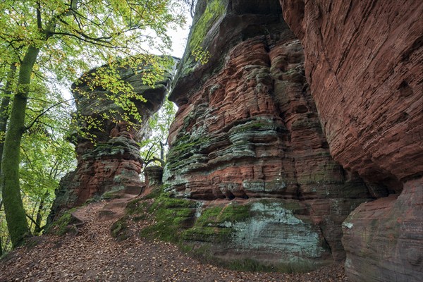 Old castle rock, red sandstone rock formation, natural and cultural monument, Brechenberg near Eppenbrunn, Palatinate Forest, Rhineland-Palatinate, Germany, Europe