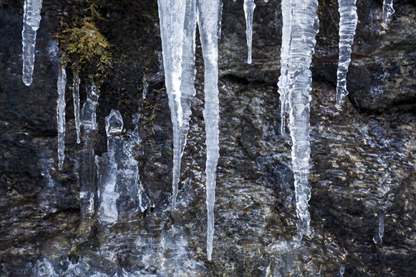 Winter, icicles, Oberallgäu, Allgäu, Bavaria, Germany, Europe