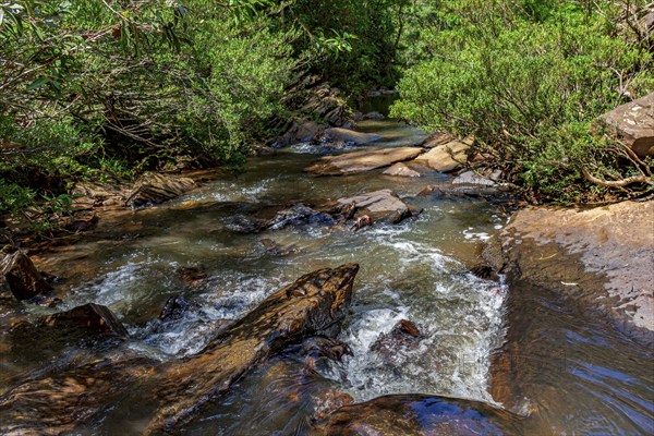 A stream of calm waters running through the rainforest between the rocks Minas Gerias, Brazil, South America