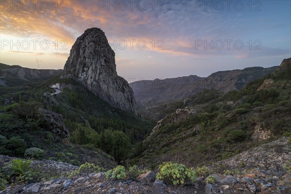 Roque de Agando rock tower at sunrise, Monumento Natural de los Roques, La Gomera, Canary Islands, Spain, Europe