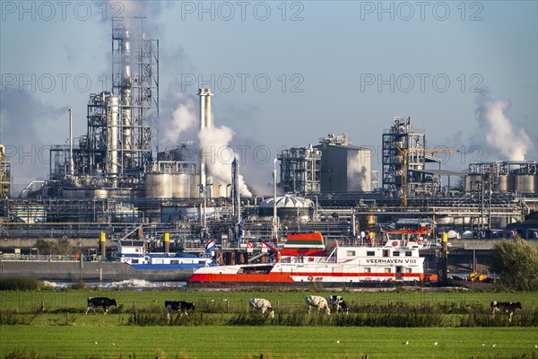 Cargo ship on the Rhine near Emmerich, Kao Chemicals backdrop, specialising in surfactants, KLK, Left Rhine pastures, Lower Rhine, North Rhine-Westphalia, Germany, Europe