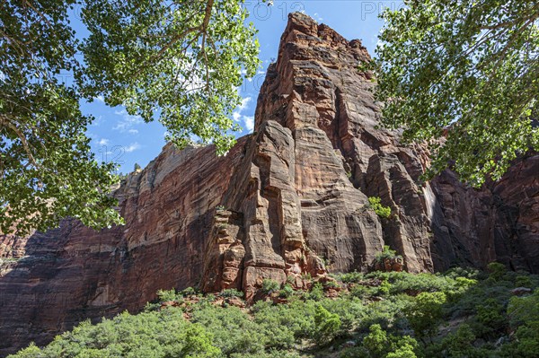 Rugged sandstone rock formation along the Weeping Rock Trail in Zion National Park, Utah