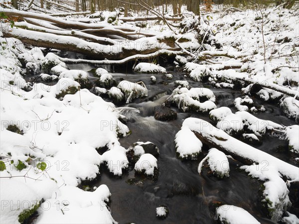 Hill Stream, the Schwartzbach, in snow and ice in November. The Rhön UNESCO Biosphere nature reserve, county Bavaria, Germany, Europe