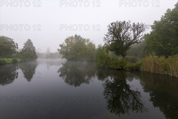 Foggy lake with trees and reflection in the water, quiet and mystical, Talaue, Waiblingen, Baden-Württemberg, Germany, Europe
