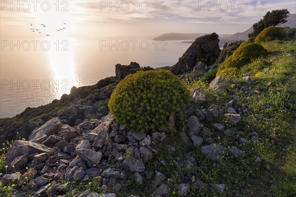 Striking rocky coast in spring, evening sun, backlight, Messinian Gulf, Ionian Sea, Mani, Greece, Europe