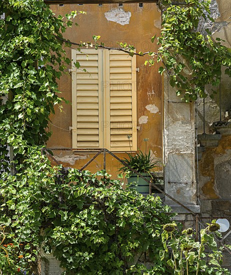 House facade of an old villa at the Roman Baths in Sanssouci Park in Potsdam, Brandenburg, Germany, Europe
