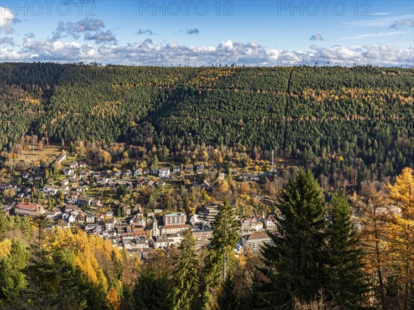 View from the Sommerberg over the forest and Bad Wildbad in autumn, Black Forest, Baden-Württemberg, Germany, Europe