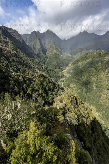 Densely overgrown steep mountains with rainbow, green mountain landscape, view from Miradouro dos Balcões, mountain valley Ribeira da Metade and the central mountains, Madeira, Portugal, Europe
