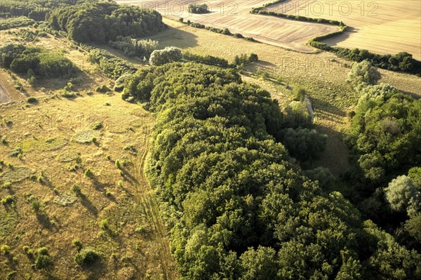 Aerial photograph of the green belt on the border between Schleswig-Holstein and Mecklenburg-Western Pomerania, Steinerne Rinne, Römnitz, Schleswig-Holstein, Germany, Europe