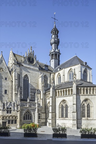 13th, 16th century Gothic medieval Saint Leonard's Church, Sint-Leonarduskerk in the city Zoutleeuw, province of Flemish Brabant, Flanders, Belgium, Europe