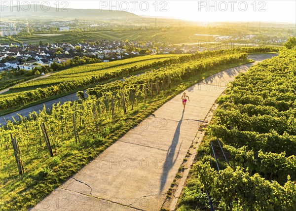 Young woman in Fitness training, vineyard at Grossheppach, Remstal valley, Baden Württemberg, Germany, Europe