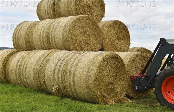 Straw bales are stacked with a wheel loader, Schleswig-Holstein, Germany, Europe