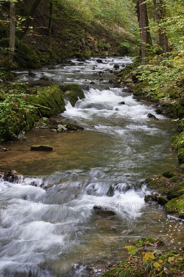 Mountain stream, Zellerache flows through the Helenental, Mondsee, Mondseeland, Salzkammergut, Upper Austria, Austria, Europe