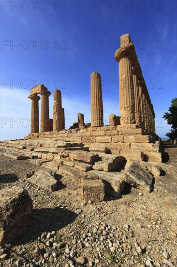 In the Parco Valle dei Templi di Agrigento, Unesco World Heritage Site, Remains of the Ancient City of Akragas in the Valley of the Temples of Agrigento, Temple of Hera Lacinia or Temple of Juno, Tempio di Giunone, Sicily, Italy, Europe