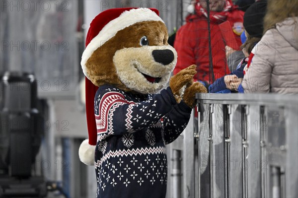 Mascot Berni FC Bayern Munich FCB (12) in Christmas outfit, Christmas hat, Allianz Arena, Munich, Bavaria, Germany, Europe