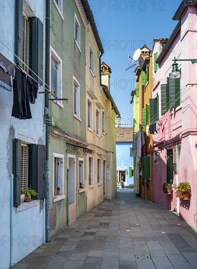 Colourful houses, colourful facades, alleyways on the island of Burano, Venice, Veneto, Italy, Europe