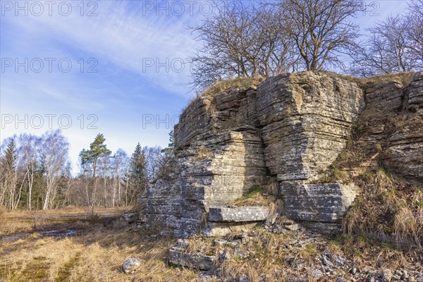 Old abandoned limestone quarry with steep rock walls, Sweden, Europe