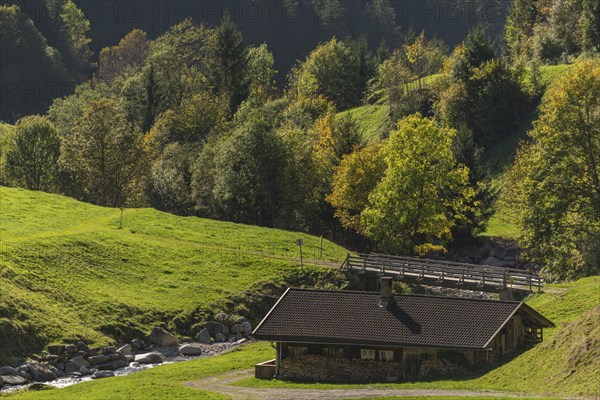Agriculture, Alpine pasture in the Zillergrund valley, Alpine pasture, Ziller mountain stream, wooden bridge, Zillertal Alps, Tyrol, Austria, Europe