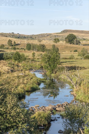 Landscape in Aubrac in summer, inspiring, infinite, enchanting, magical, peaceful, bewitching. Cevennes France