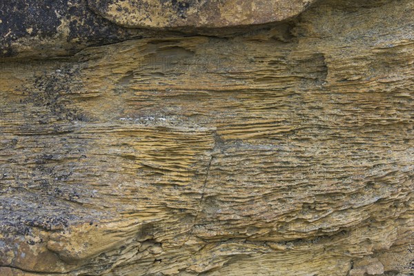 Close up of Festningen sandstone rock formation at Boltodden, Kvalvagen, Svalbard, Spitsbergen, Norway, Europe