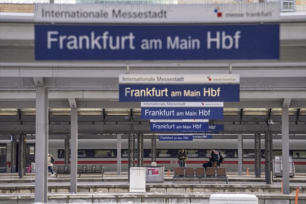 Frankfurt am Main main station, tracks, platforms, trains, Hesse, Germany, Europe