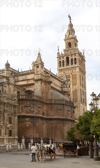 La Giralda tower of the cathedral originally built as a Moorish minaret in the twelfth century, Seville, Spain, Europe