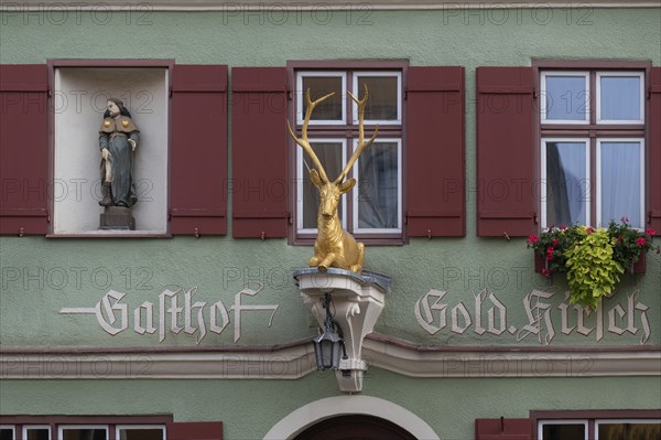 Gold-coloured stag, figure at the Goldener Deer inn, Weinmarkt 6, Dinkelsbühl, Bavaria, Germany, Europe