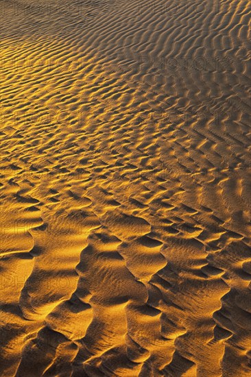 Sand structure formed by the wind, in the Rub al Khali desert, Dhofar province, Arabian Peninsula, Sultanate of Oman