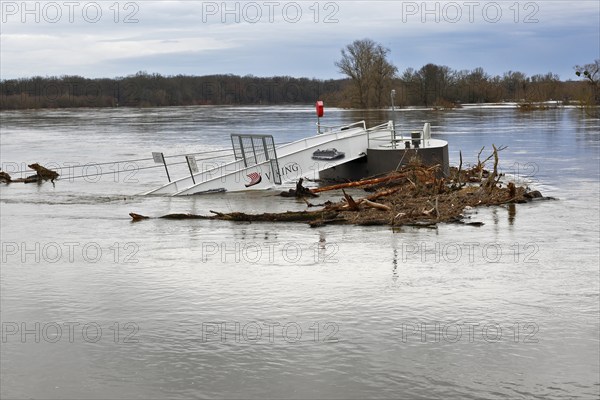 Passenger shipping jetty near Dessau-Roßlau during the Elbe flood in winter 2023, Middle Elbe Biosphere Reserve, Dessau-Roßlau, Saxony-Anhalt, Germany, Europe